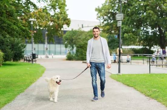 Dog Walking Services In Mckinney